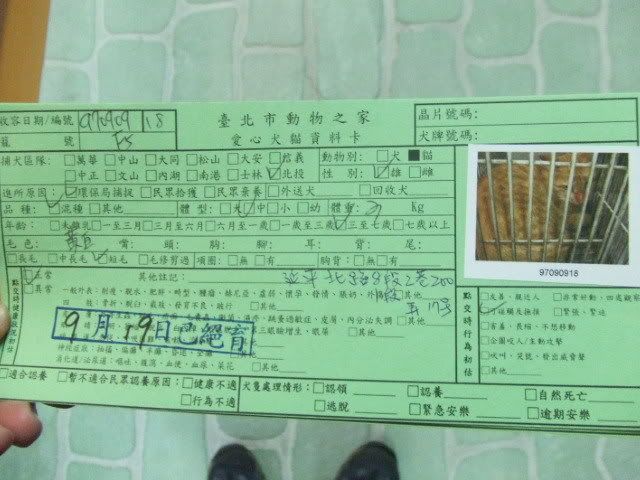 圖檔