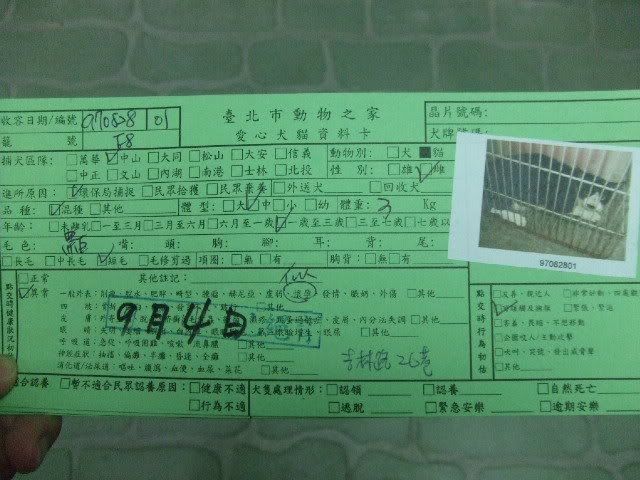 圖檔