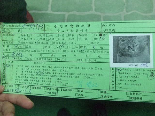圖檔