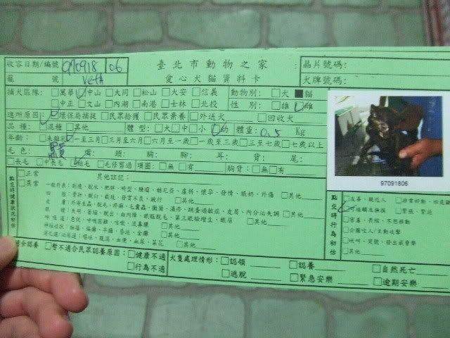 圖檔