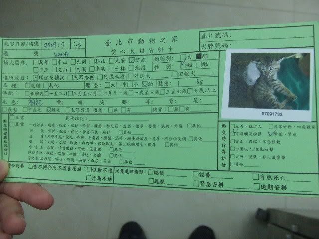 圖檔