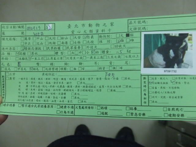 圖檔