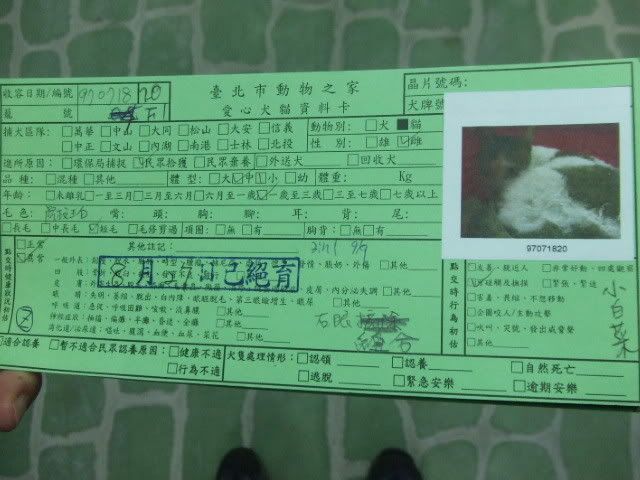 圖檔