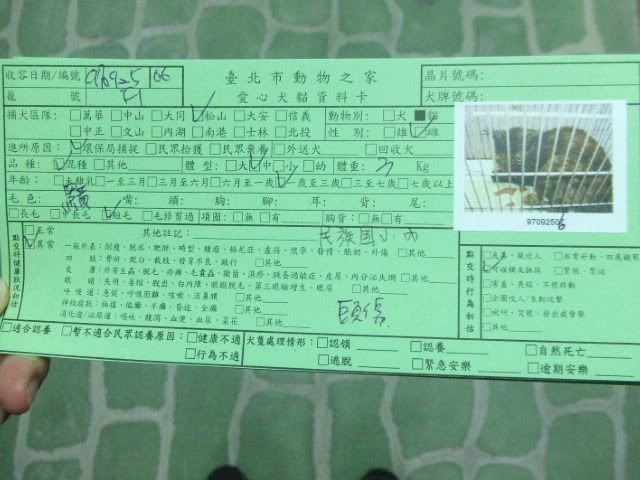 圖檔