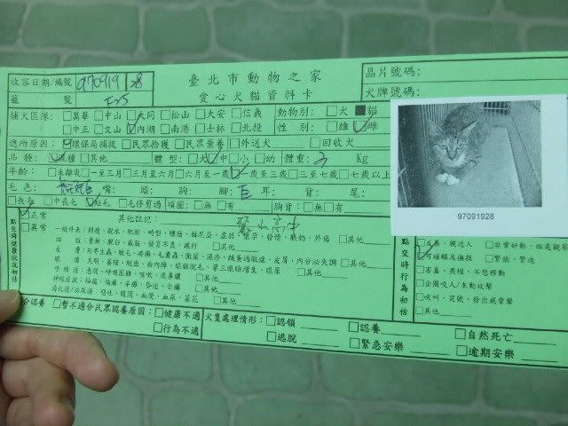 圖檔
