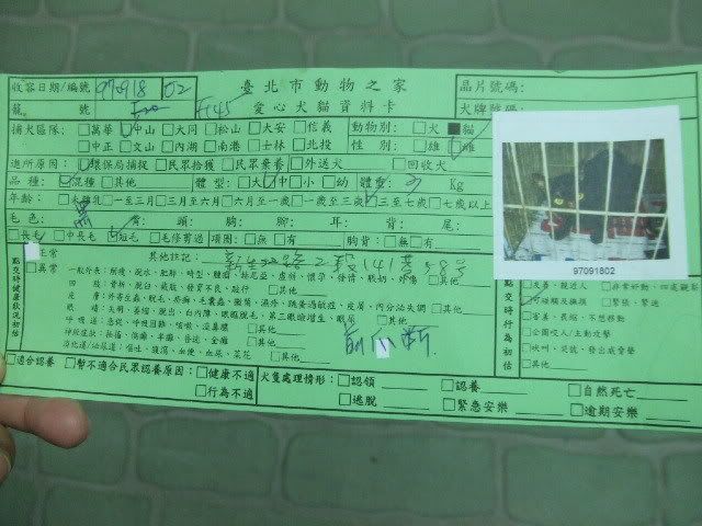 圖檔
