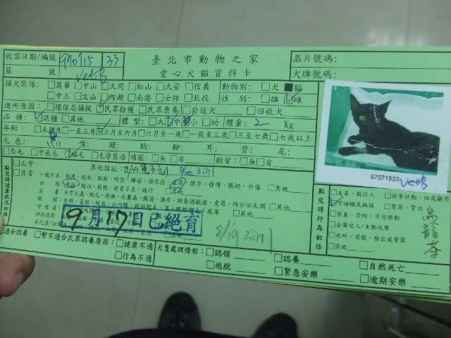 圖檔