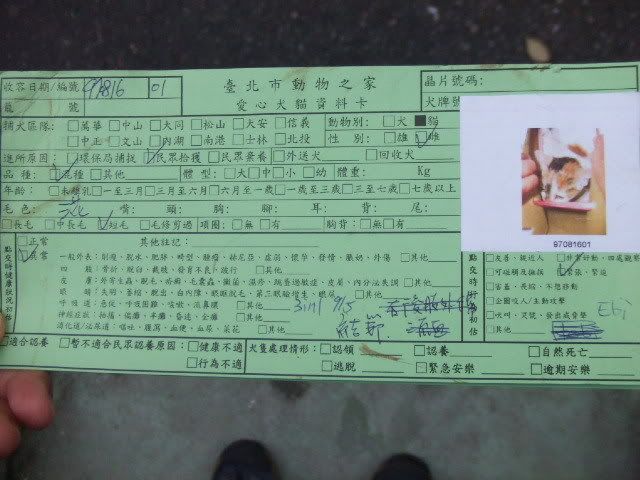圖檔