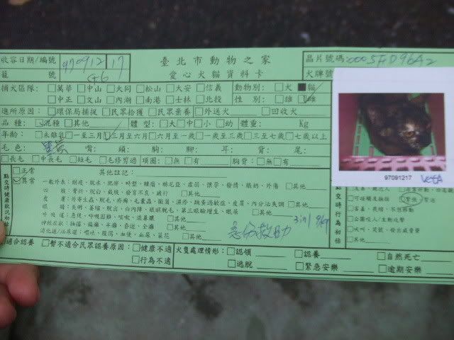 圖檔