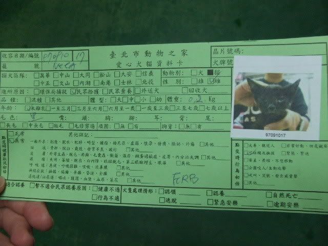 圖檔