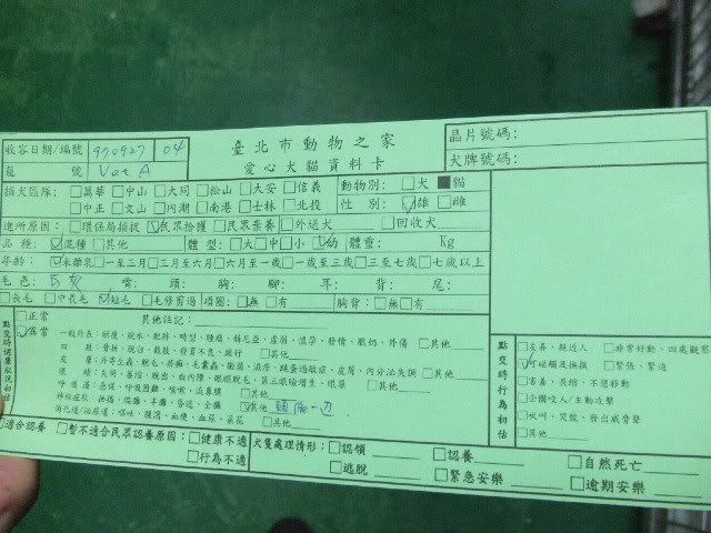 圖檔