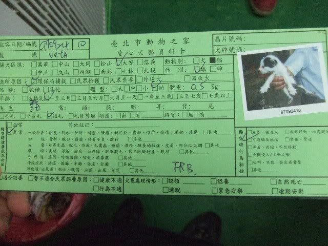 圖檔