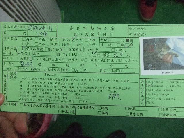 圖檔