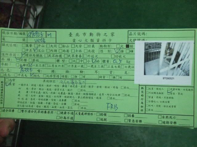 圖檔