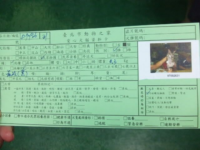 圖檔