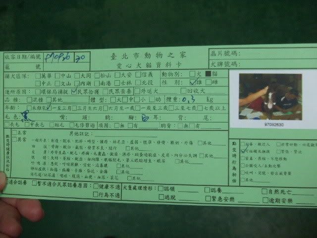 圖檔