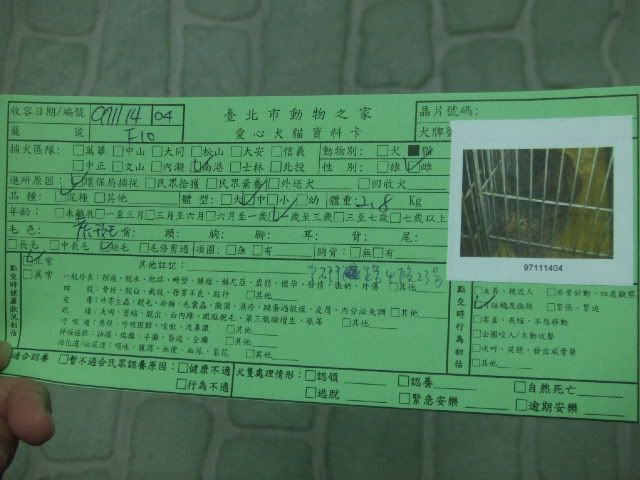 圖檔