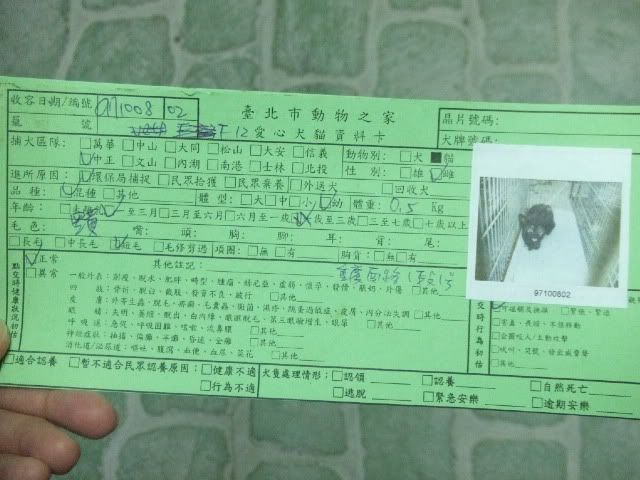 圖檔