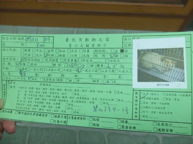 圖檔
