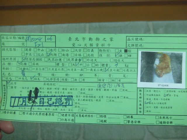 圖檔