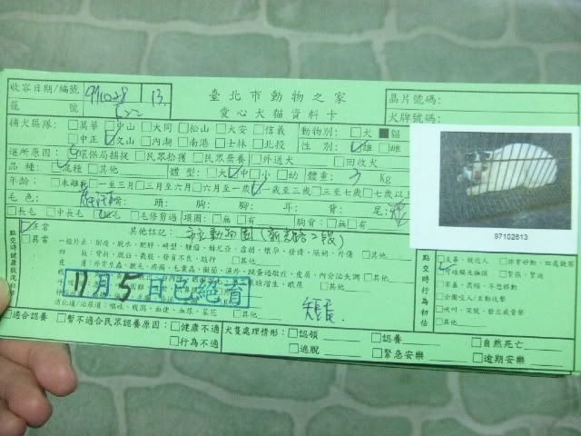 圖檔