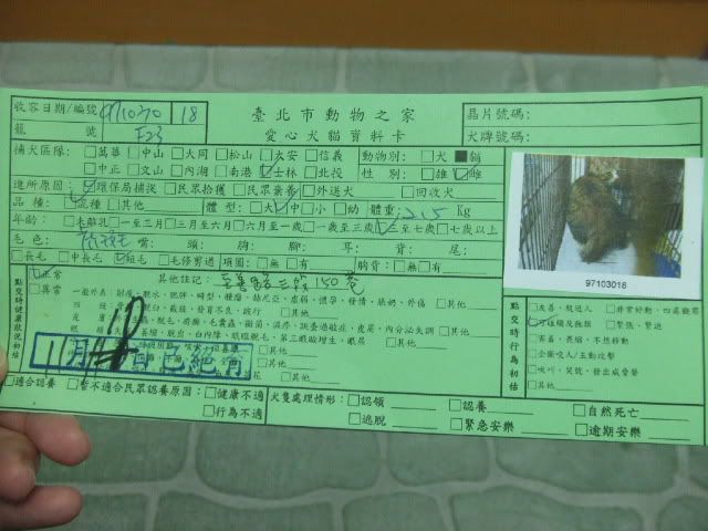圖檔