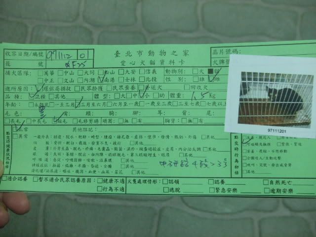 圖檔