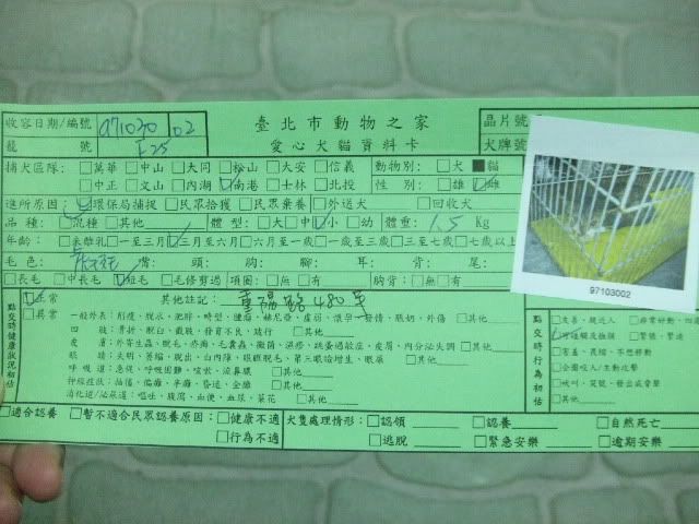 圖檔