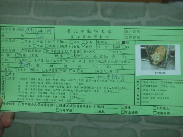 圖檔