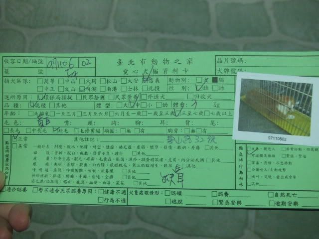 圖檔