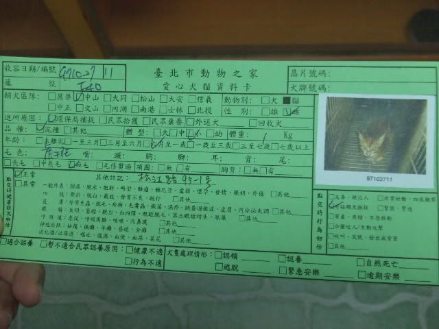 圖檔