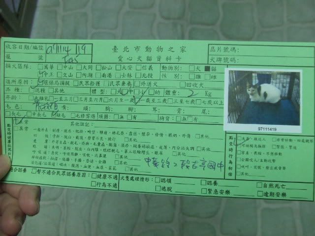 圖檔