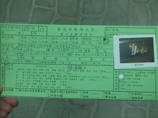 圖檔