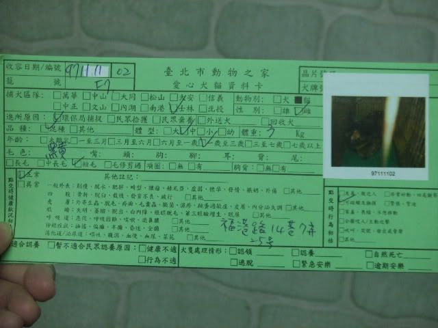圖檔