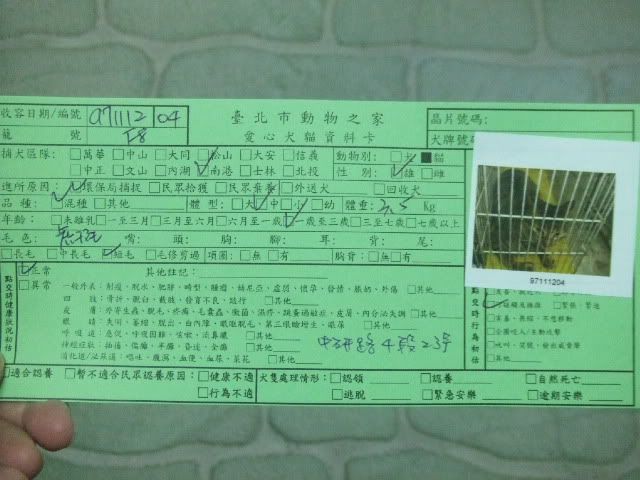 圖檔