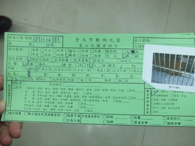 圖檔