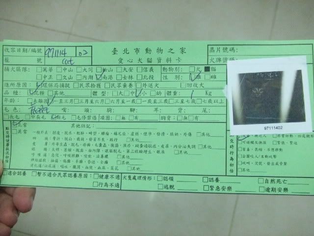 圖檔