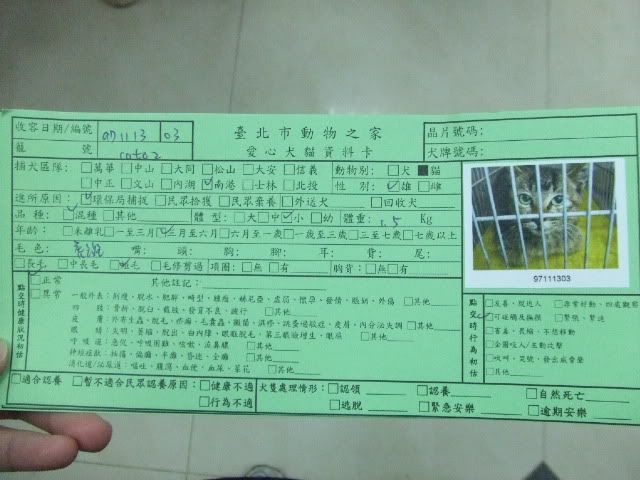 圖檔