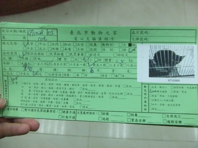 圖檔