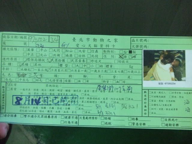 圖檔