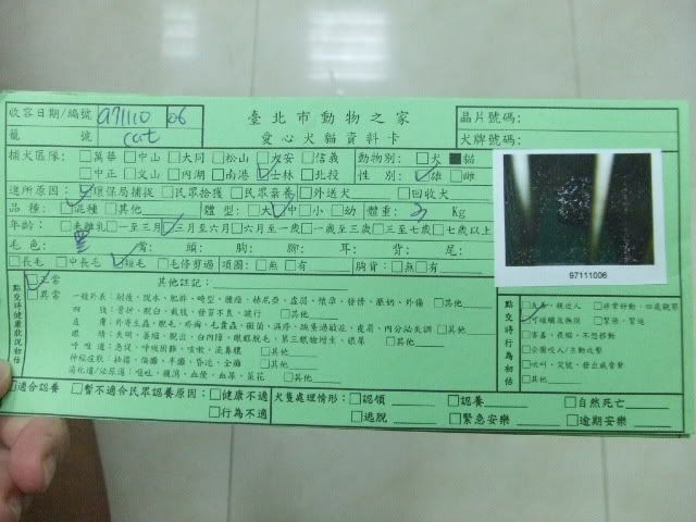 圖檔