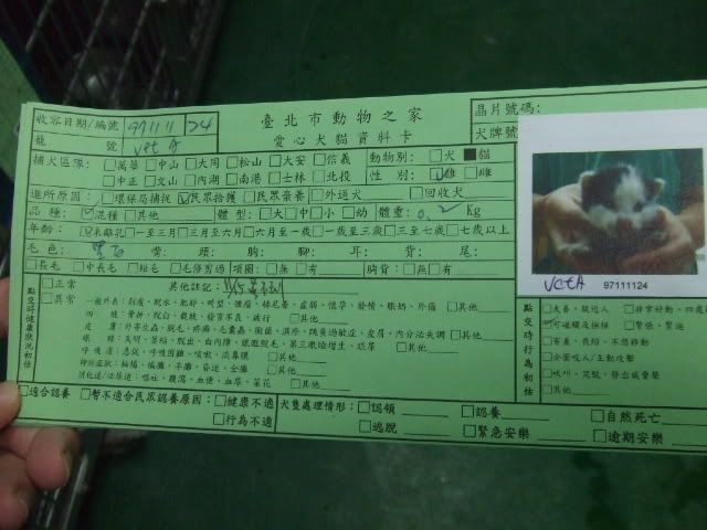 圖檔