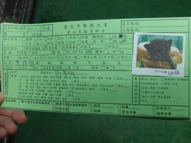 圖檔