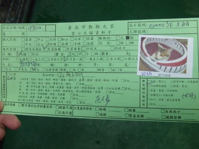 圖檔