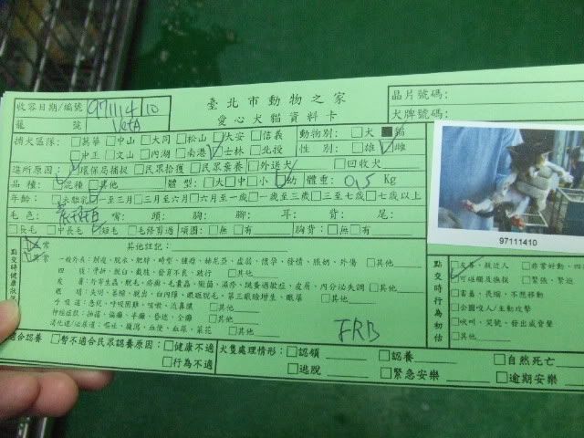 圖檔