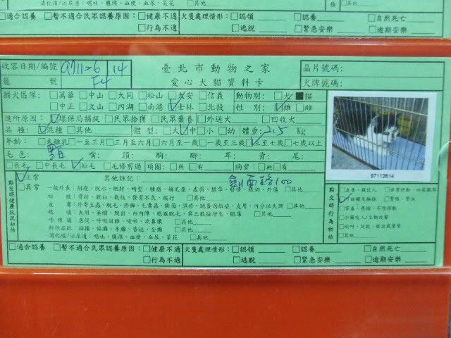 圖檔