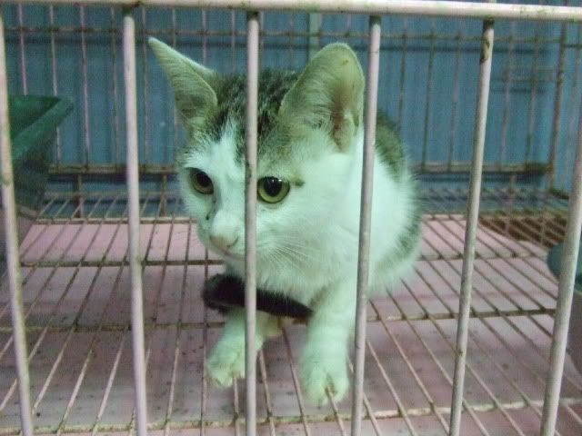 圖檔