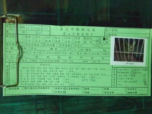 圖檔