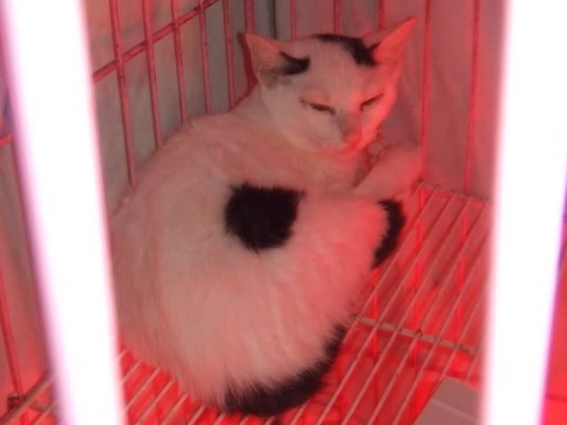 圖檔