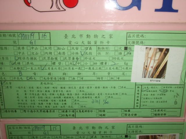 圖檔